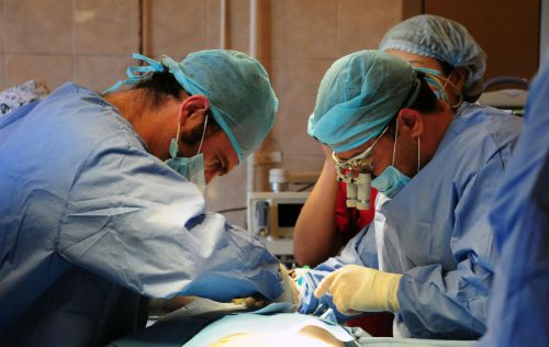Хирурги делают операцию