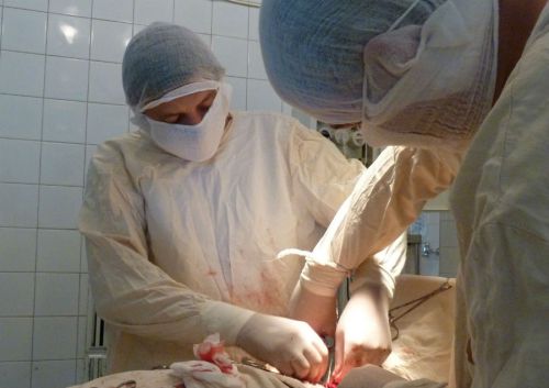 Хирурги делают операцию