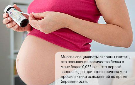 Белок в моче при беременности