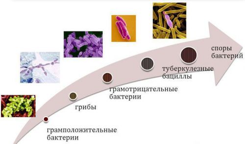 Устойчивость микроорганизмов