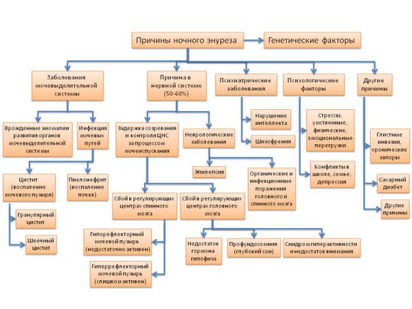 Схема, отражающая все основные причины и факторы развития энуреза