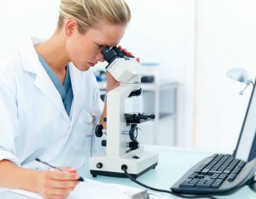 Лаборант смотрит в микроскоп