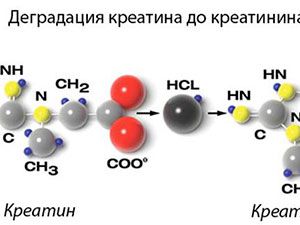 молекулы