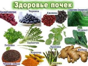 Продукты для здоровья почек